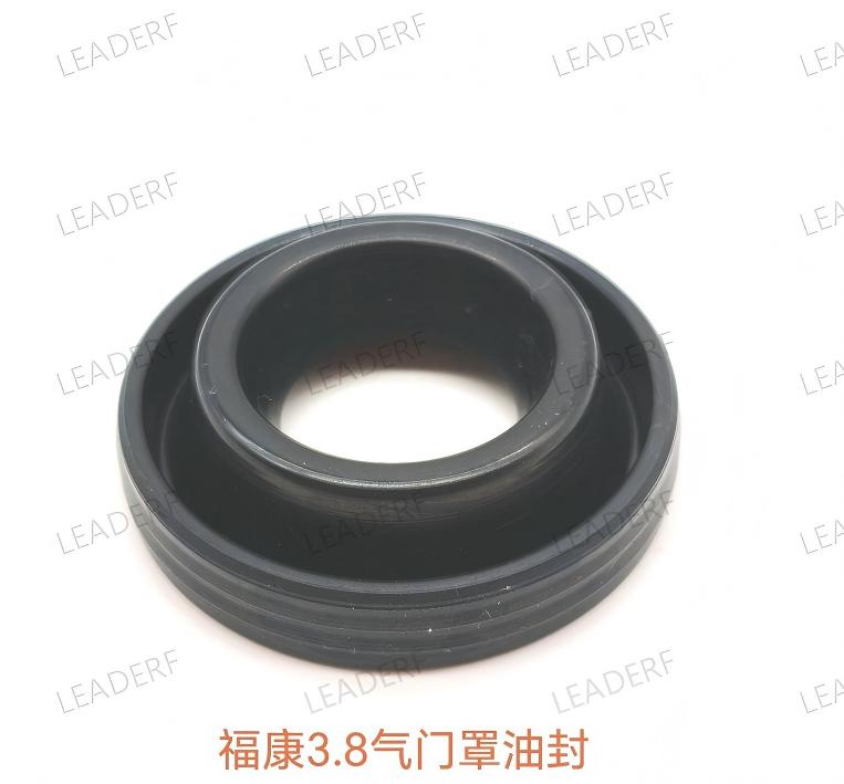 oil seal