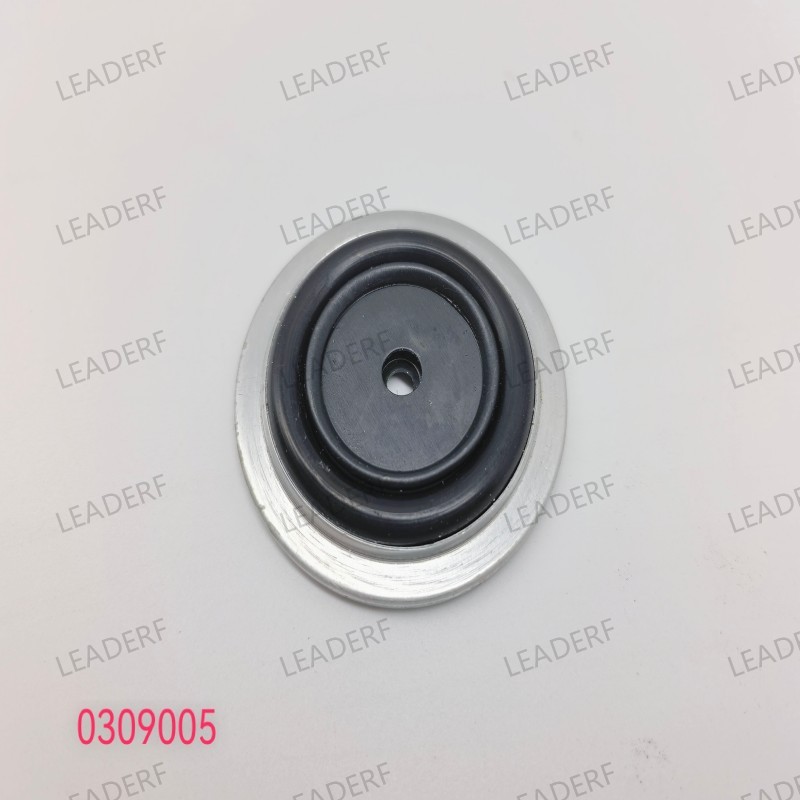 Diaphragm