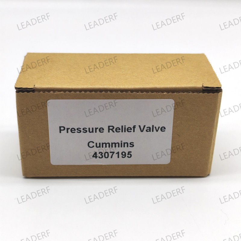 Pressure relief valve/ 4307195