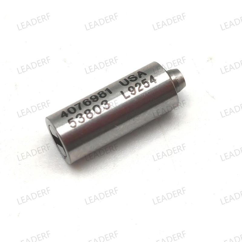 Cummins ISX Inj check valve/4076981